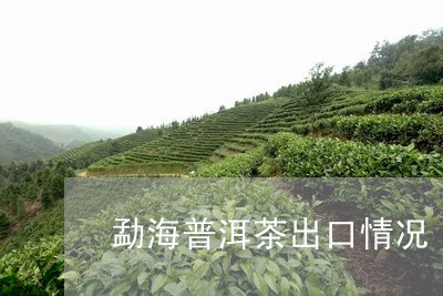 普洱茶出口哪些好一点