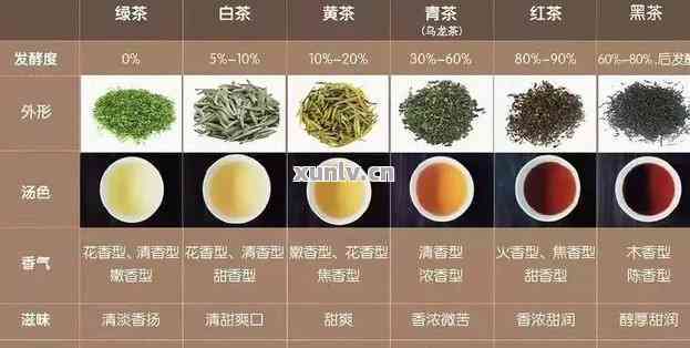 普洱茶组合套餐种类：茶叶、饮品与茶品全面解析