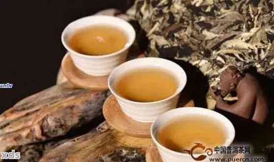 普洱茶组合套餐种类：茶叶、饮品与茶品全面解析