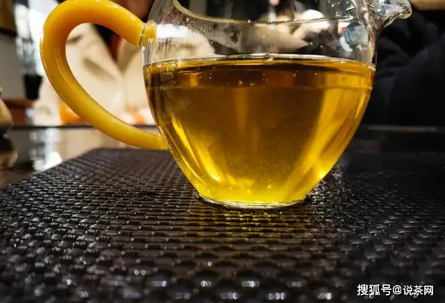 西安号普洱茶2021