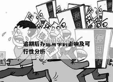 逾期申报补报后消除逾期记录的可行性探讨