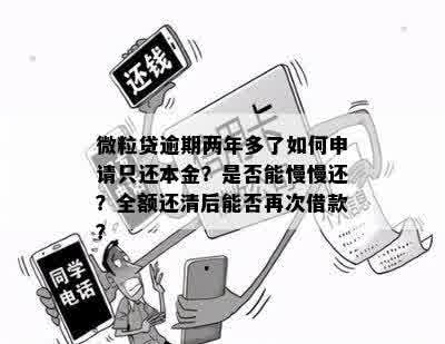 微立贷两年逾期：仅还本金是否可行？