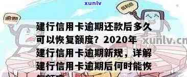 建行信用卡2020年逾期政策全面解析：新规细节、影响及应对策略一次看清