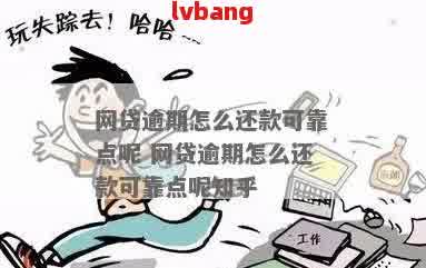 网贷逾期还款策略：如何应对过年期间的挑战？