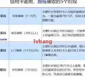 信用卡逾期还款全攻略：如何安全、有效地漂白信用记录并避免逾期风险