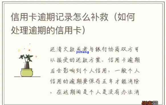 信用卡逾期还款全攻略：如何安全、有效地漂白信用记录并避免逾期风险