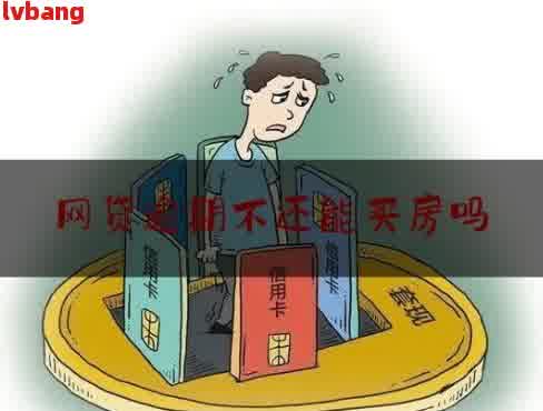 网贷逾期未还：对办理宅基证的影响及解决策略