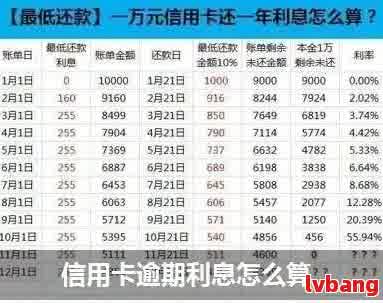 '网贷7000一年不还需要偿还多少钱： 计算利息和费用，逾期后果分析'