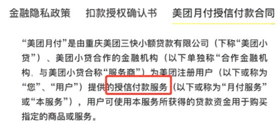 美团期还款政策详细解析：可期次数、申请条件及影响全面了解