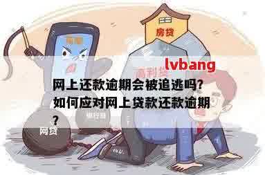 网贷逾期的会被带走吗