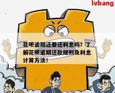 如何制定还款计划以更大化降低借呗利息和避免逾期费用