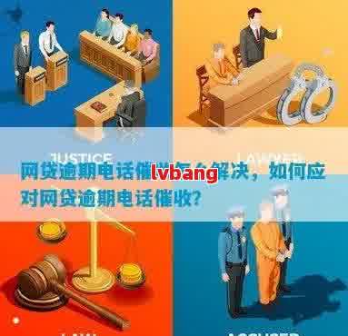 网贷逾期打电话给单位怎么办：解决步骤与注意事项