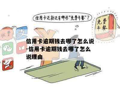 信用卡逾期了我的钱应该放在哪里安全