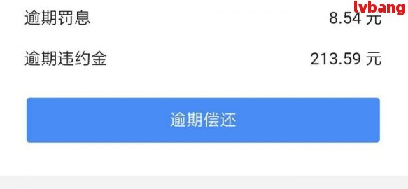 网贷逾期后如何解释还款成功？详解还款成功的证明方法和应对策略