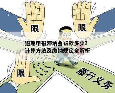 0申报逾期罚款问题全面解析：如何计算、是否会罚款及应对措