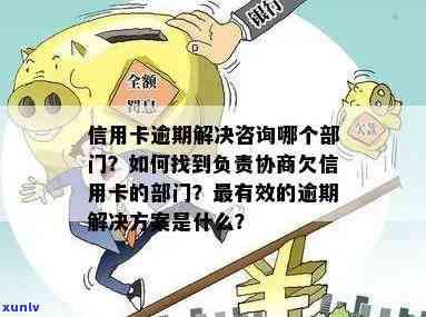 个人信用卡逾期协商的困境：为何总是一个人在战斗？