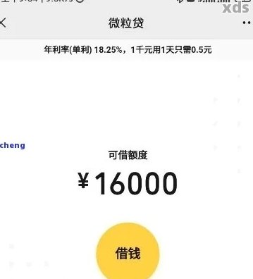 面临微立贷逾期期还款困境：解决方案和建议