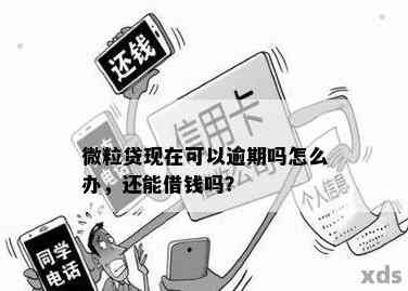 逾期后结清的微立贷借款是否能再次申请？