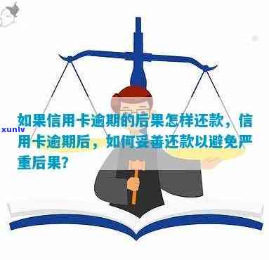 信用卡逾期6次后果严重吗？如何解决？如何避免信用受损？