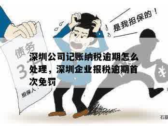 深圳企业报税逾期首次免罚政策详解，逾期后如何处理？