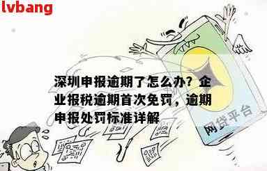 深圳企业报税逾期首次免罚政策详解，逾期后如何处理？