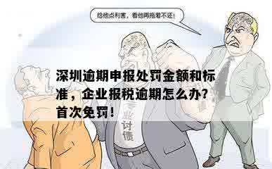 深圳企业报税逾期首次免罚政策详解，逾期后如何处理？