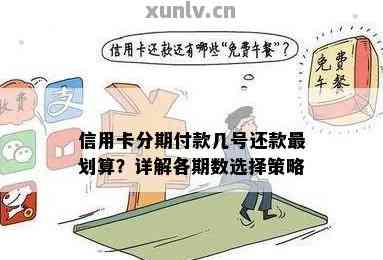 信用卡分期还款：优点、缺点与如何选择