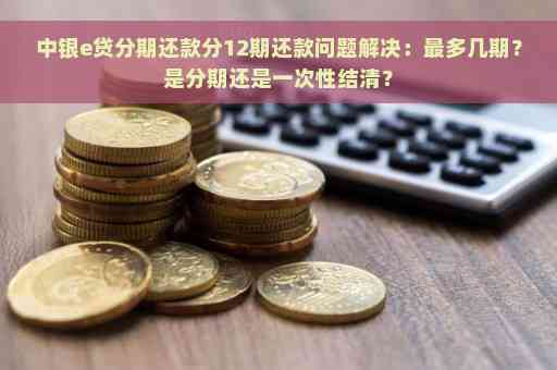 中银e贷逾期15天后的还款处理方式：一次性还清是否为唯一选择？