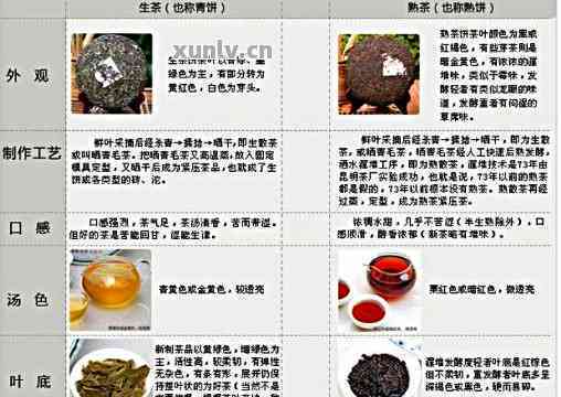 易武普洱茶开采时间表最新