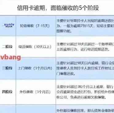 信用卡逾期还款政策详解：退款期限、利息计算及影响等全方位解答