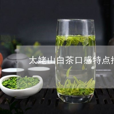 太姥山白茶百科：介绍太姥山白茶是什么茶，功效与作用。