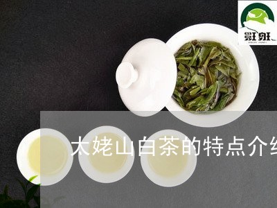 太姥山白茶百科：介绍太姥山白茶是什么茶，功效与作用。