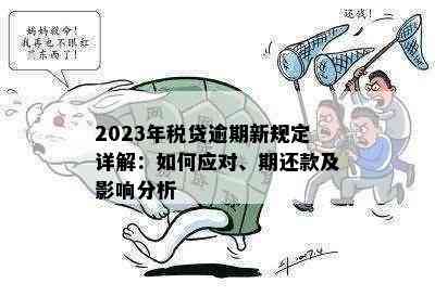 新2023年是否实逾期贷款减免政策？具体措和影响解析