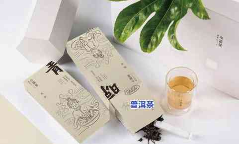 多种款式的普洱茶小包装减脂茶推荐：品种细分，功效解析