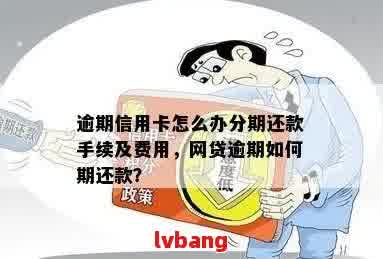 网贷逾期后是否可以申请分期付款？了解相关政策和流程