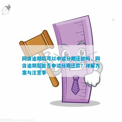 网贷逾期后是否可以申请分期付款？了解相关政策和流程