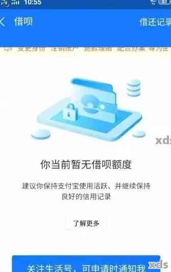 关于提前一次性还清还款借款的操作指南：详细步骤及注意事项