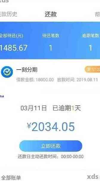 还款提前还款是否允？如何一次性还清全部借款金额？