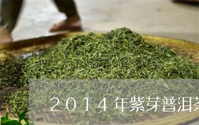 嘉茗牌普洱茶紫芽茶怎么样