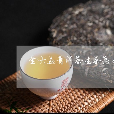 勐海大益金芽普洱茶怎么样