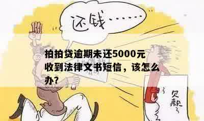 还欠5000现在还不了