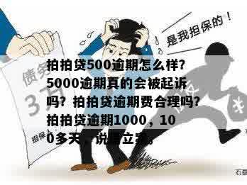 还欠5000现在还不了