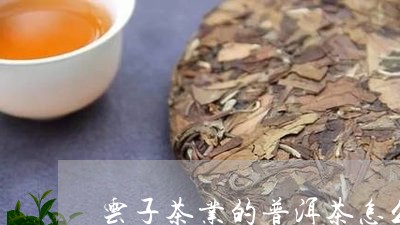 普洱茶：从云子茶到名山茶的转变与辨析