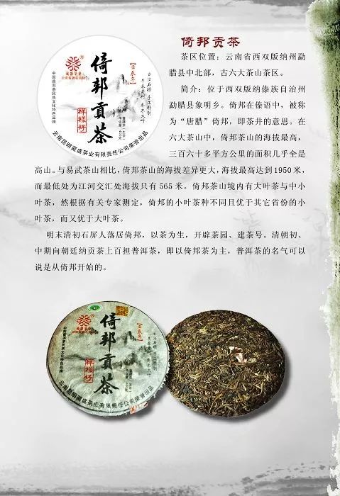 普洱茶：从云子茶到名山茶的转变与辨析