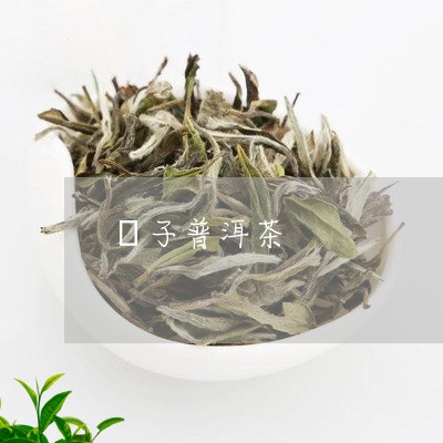 普洱茶是云子茶吗百度百科