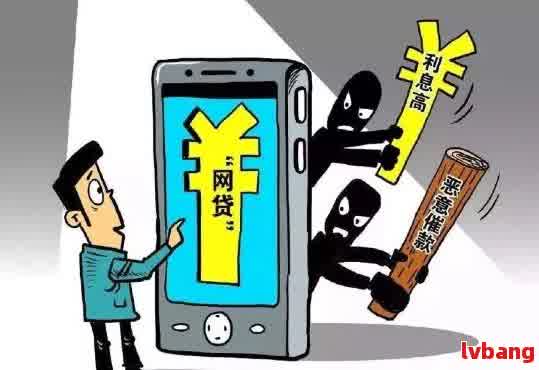 在网贷过程中，故意提供虚假信息会引发什么后果？