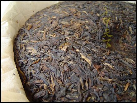 中茶八八青饼普洱茶2016价格、质量和含义——了解这款经典茶叶的全部信息