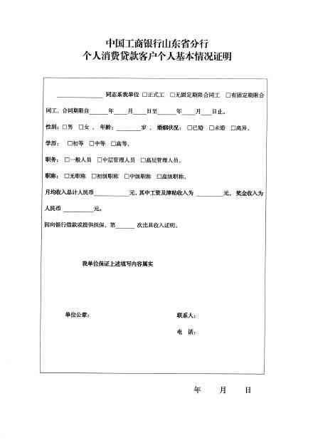 无收入贷款解决方案：了解各种选项，找到适合您的方式