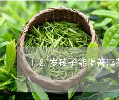 12岁儿是否可以饮用普洱熟茶，注意事项与禁忌