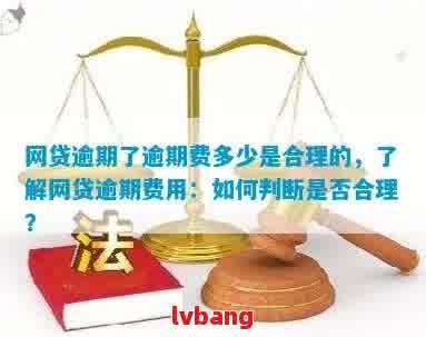 网贷逾期后的各种额外收费是否合规：深入探讨与分析